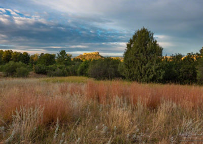 Landscape Photo of Colorado Native Grasses Framing the Rock - Castle Rock CO