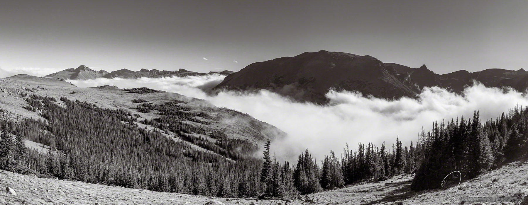 Photos of Forest Fog in Rocky Mountain National Park Colorado